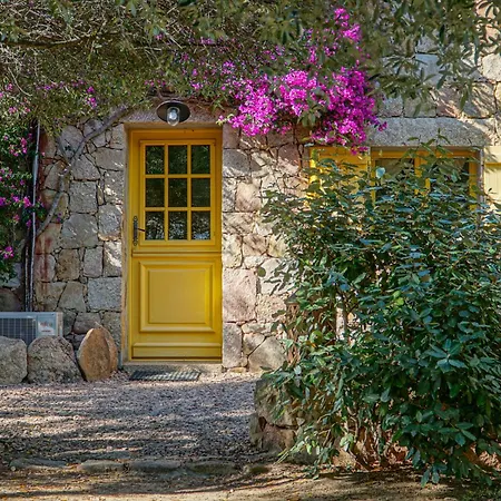 Bergerie De Zivia - Tizzano